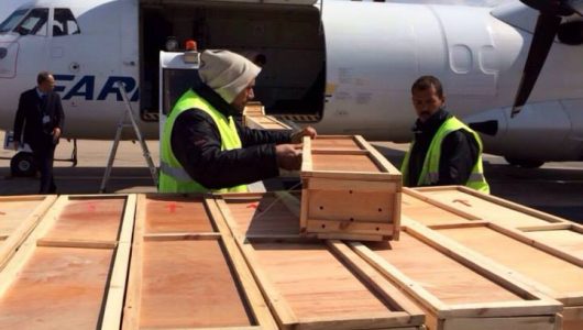 air freight tunisia- freight forwarder tunisia