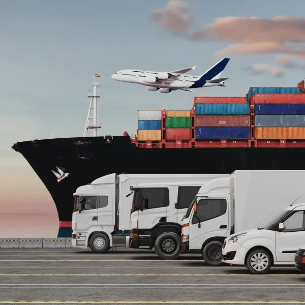 Customs clearance services Tunisia